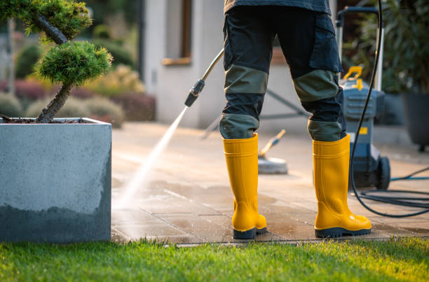 Best Power Washing Near Me  in Morgan City, LA